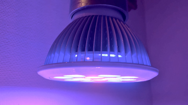 アクアリウム LEDスポットライト 青色LEDx8 赤色LEDx2 白色LEDx2
