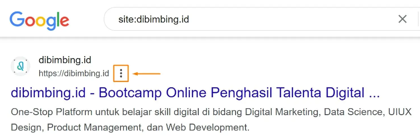 contoh indexing google