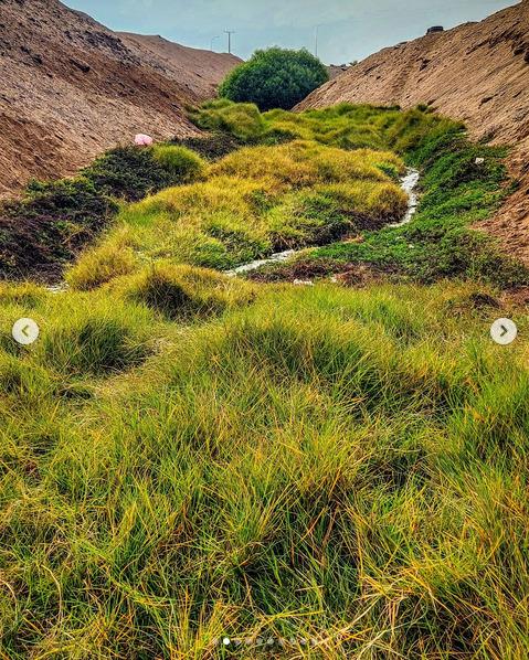 Una montaña con pasto verde

Descripción generada automáticamente