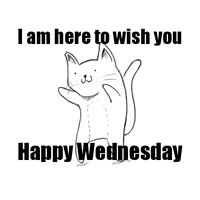 Funny Gif of a Cat Dancing and Wishing Happy Wednesday