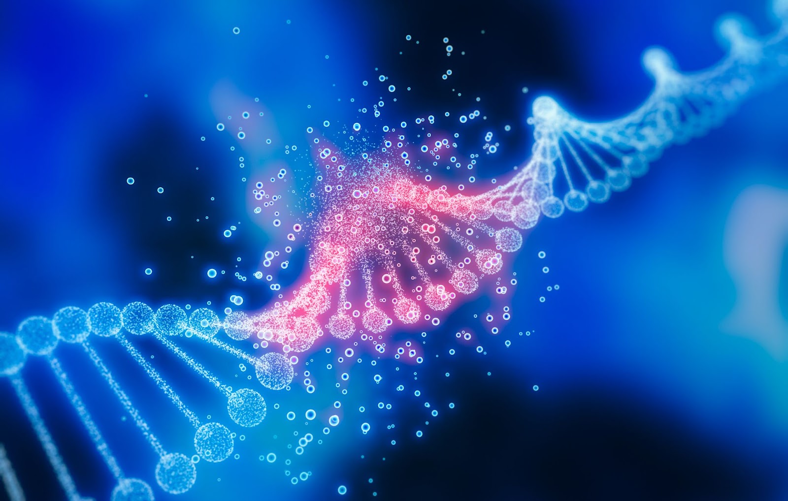 Dupla hélice do DNA