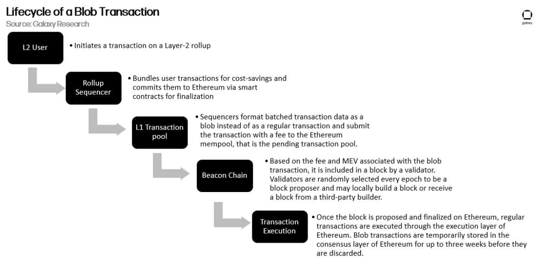 Lifecycle of a blob transaction 