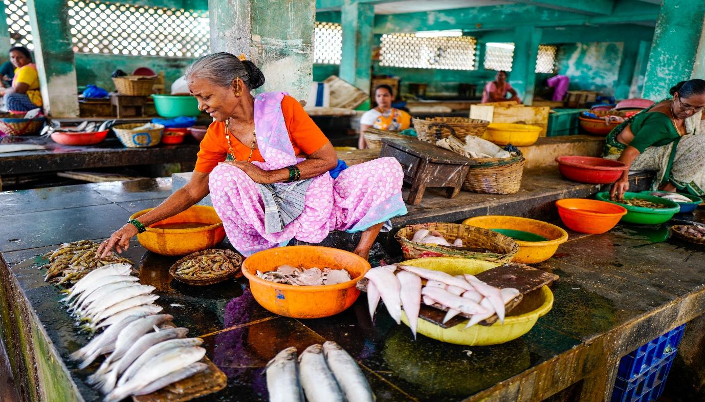 A person selling fish in a market

Description automatically generated with low confidence