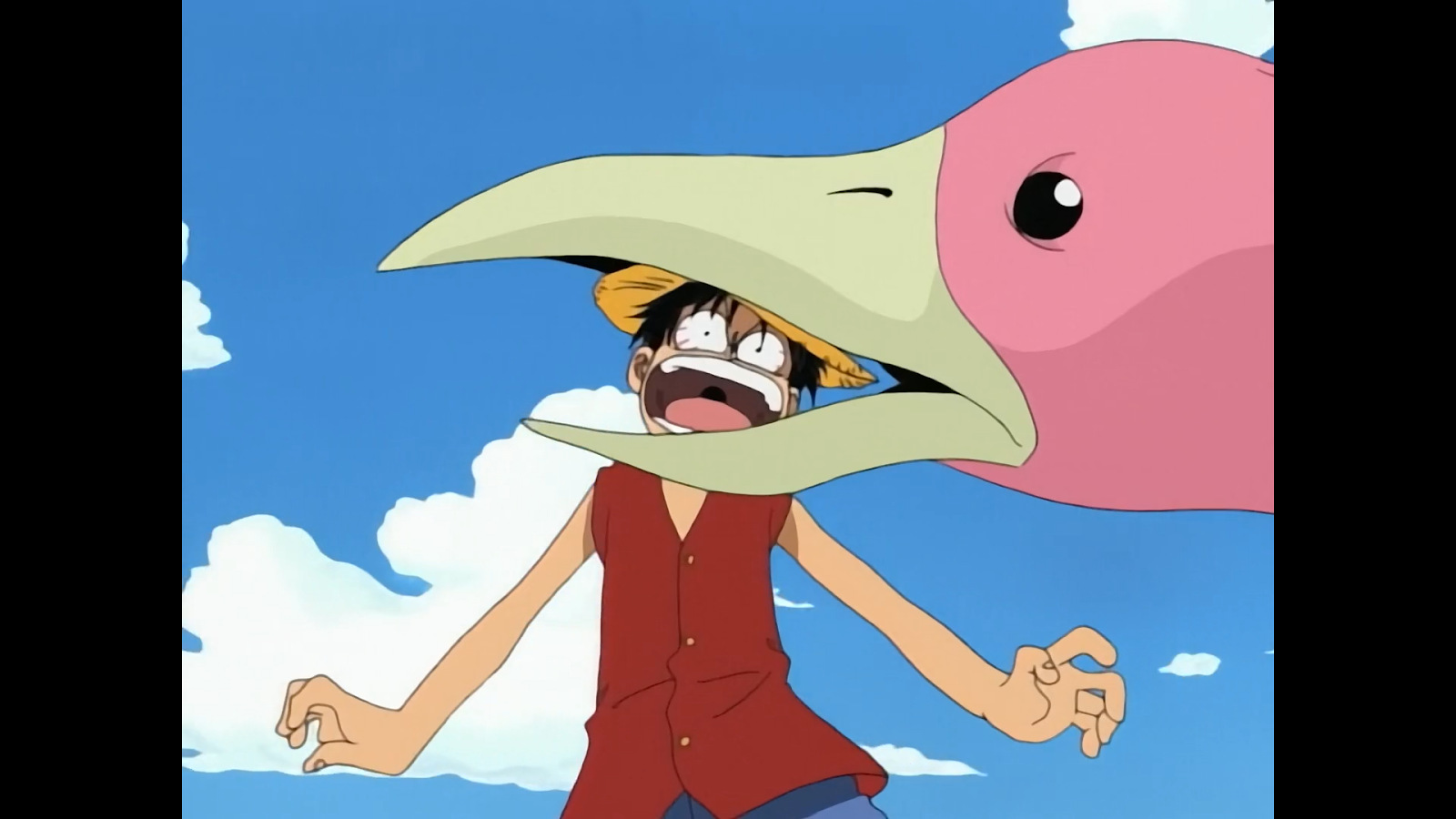 Pinky in One Piece
