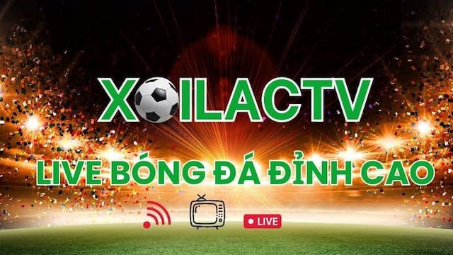 Bongdalu vip Trang web hàng đầu cho người hâm mộ bóng đá-2