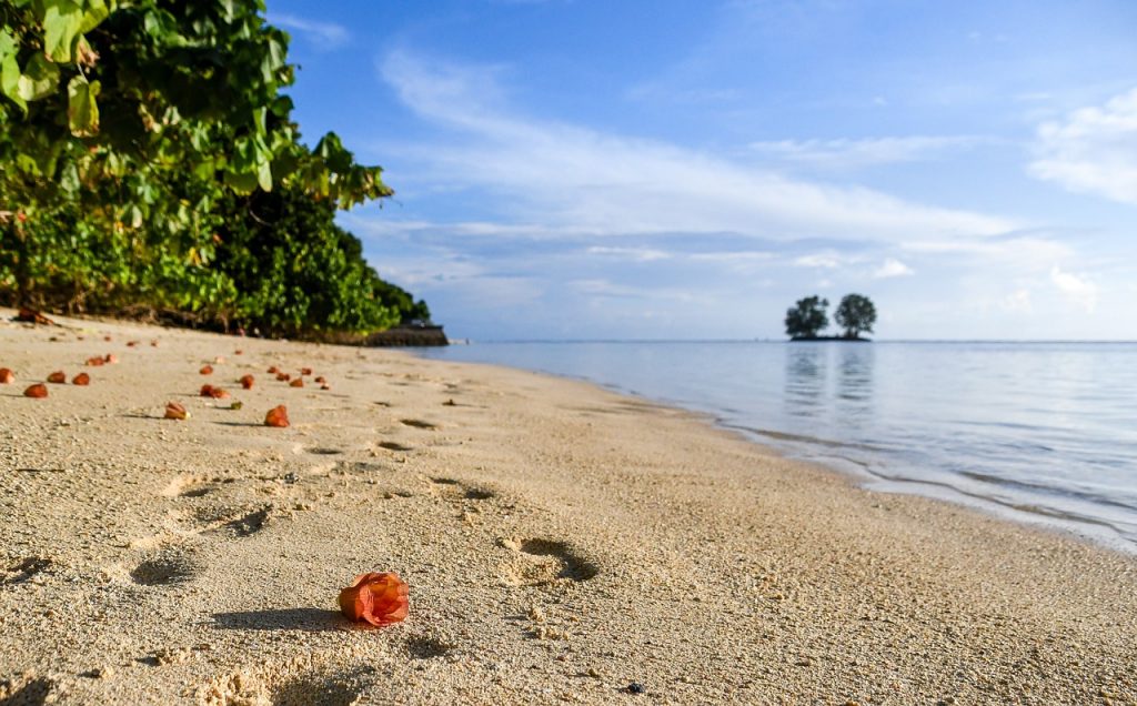 seychelles, beach, beachfront-4546279.jpg