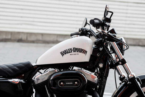 Harley Davidson Frame Types
