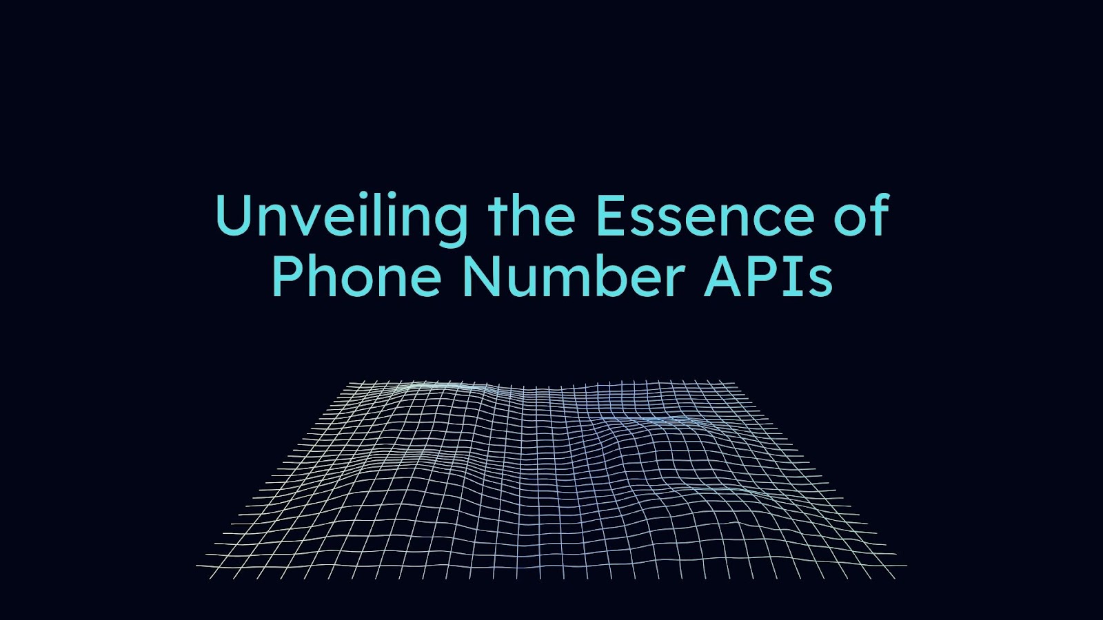 unveiling the essence of phone number apis