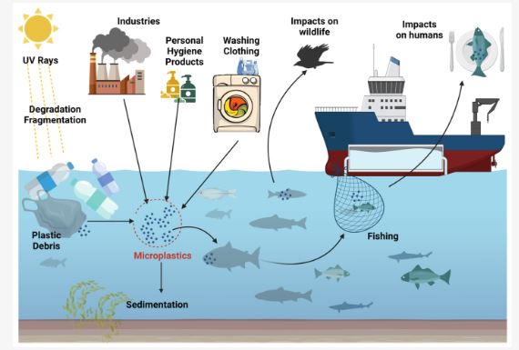 What is Plastic and Microplastics?