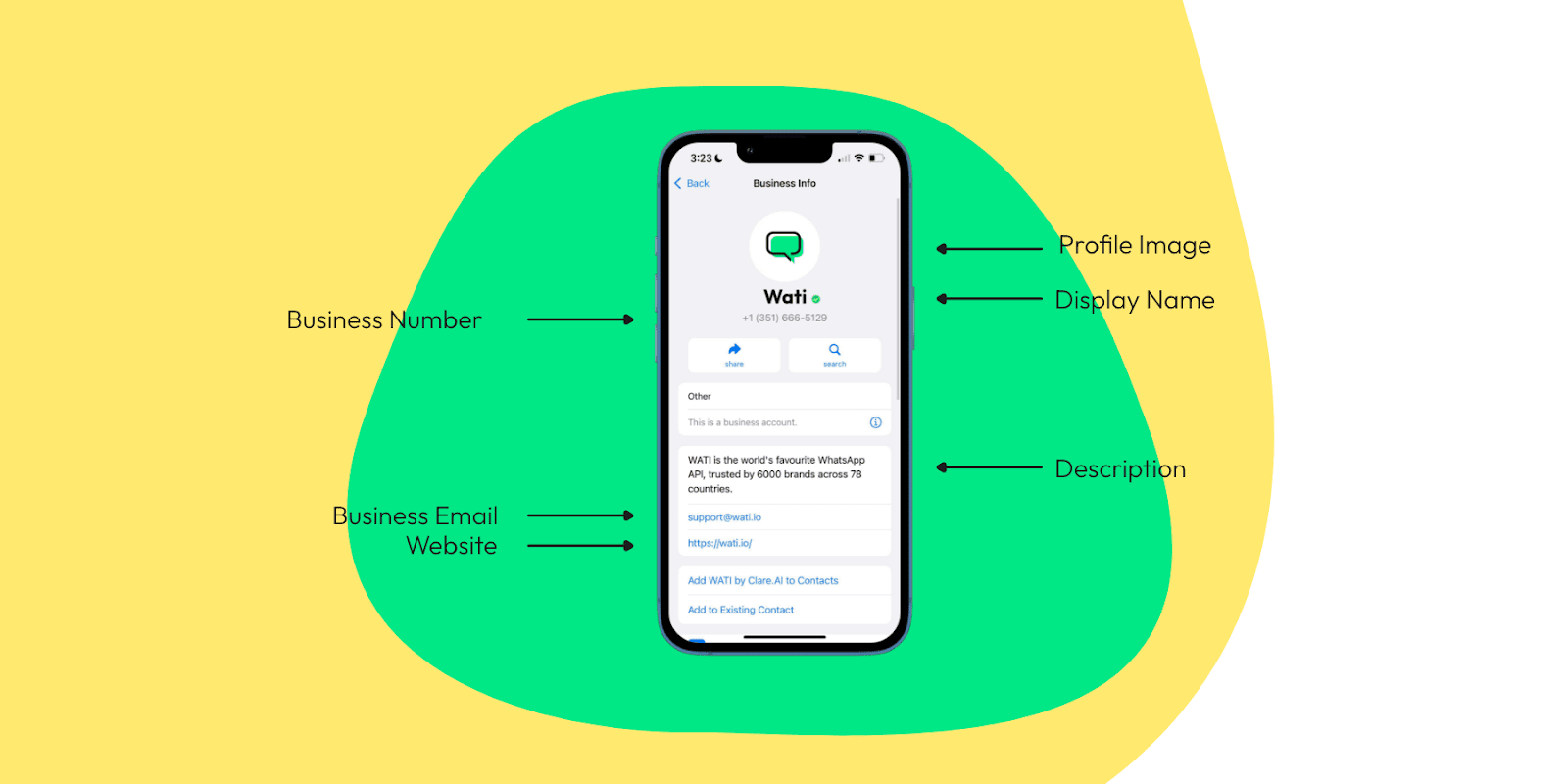 business info with specific fields 