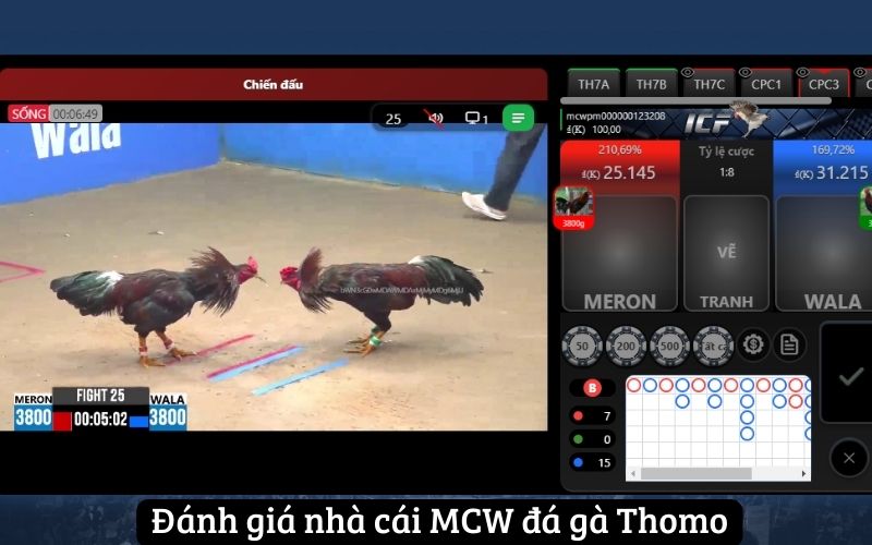 Đánh giá nhà cái MCW đá gà Thomo