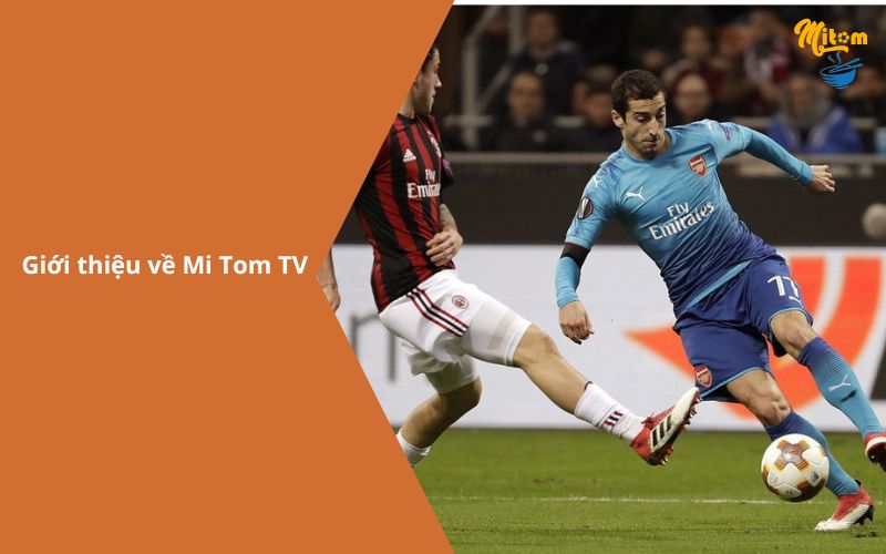 My Tom TV – Trực tiếp bóng đá hôm nay miễn phí Full HD-1