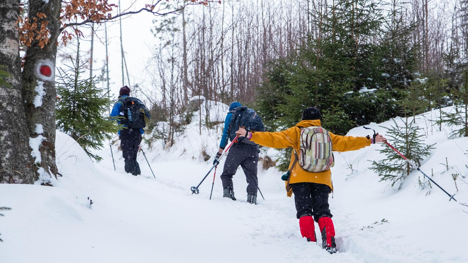 Three friends trekking together in the snow. 