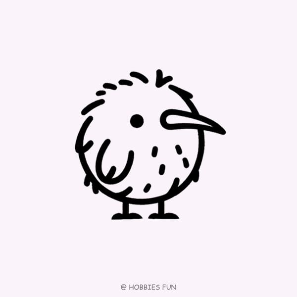 Easy Cute Kiwi Bird Drawing