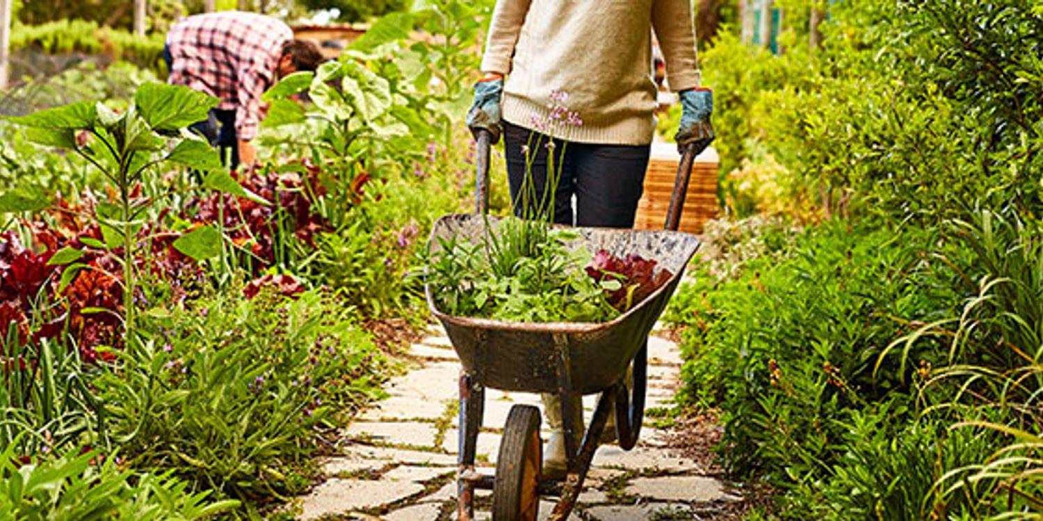 Using Wheelbarrows Safely: Tips and Guidelines-:Complete Guide