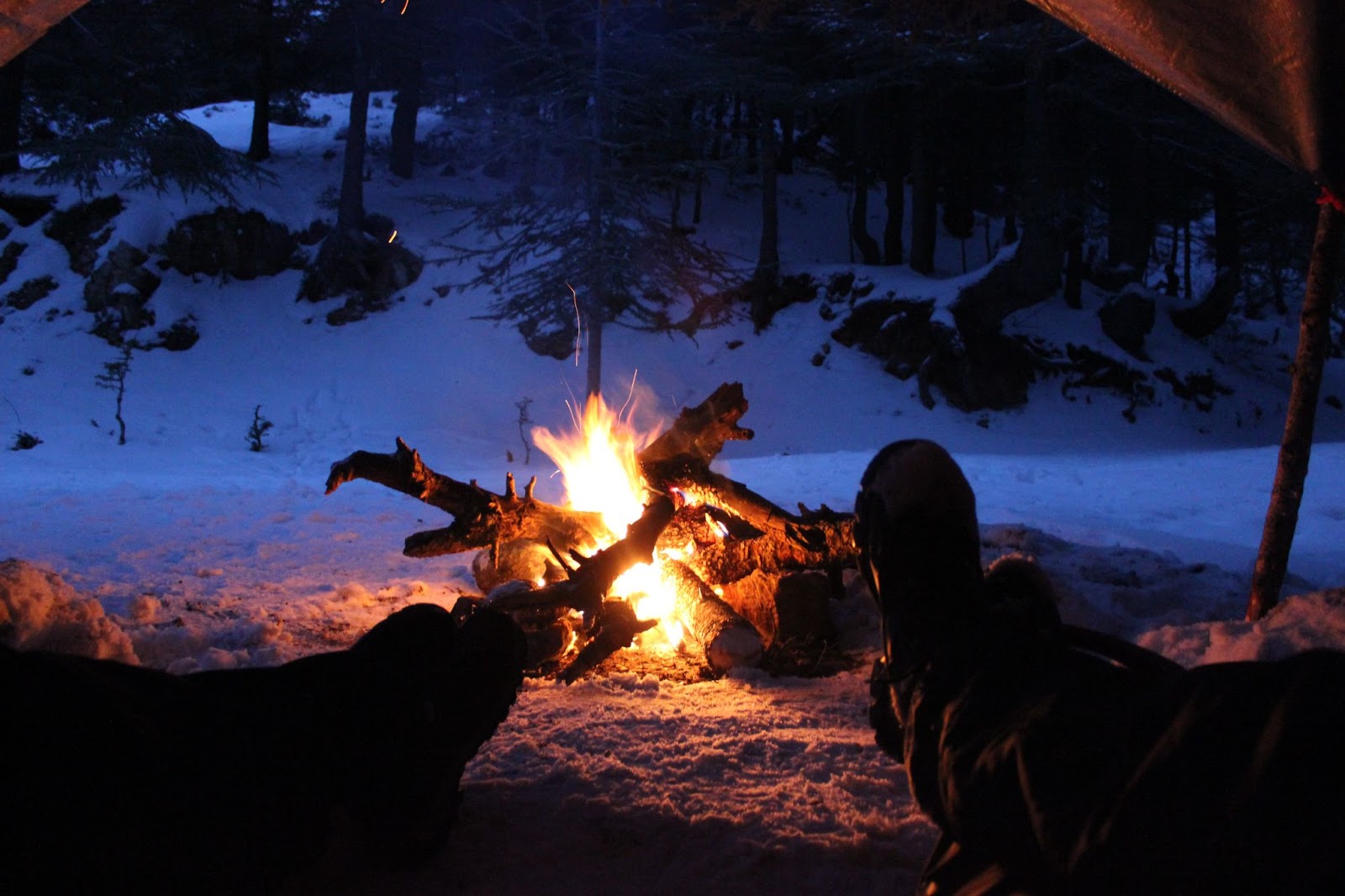 Winter campfire