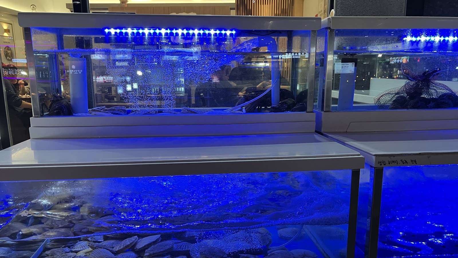 まるで竜宮城？海産物てんこ盛りの鍋はいかが？＜日韓夫婦ライターがお届けする郊外情報vol.5＞ チョゲチム
