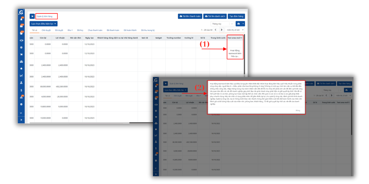 Điều chỉnh hiển thị trường text area custom field