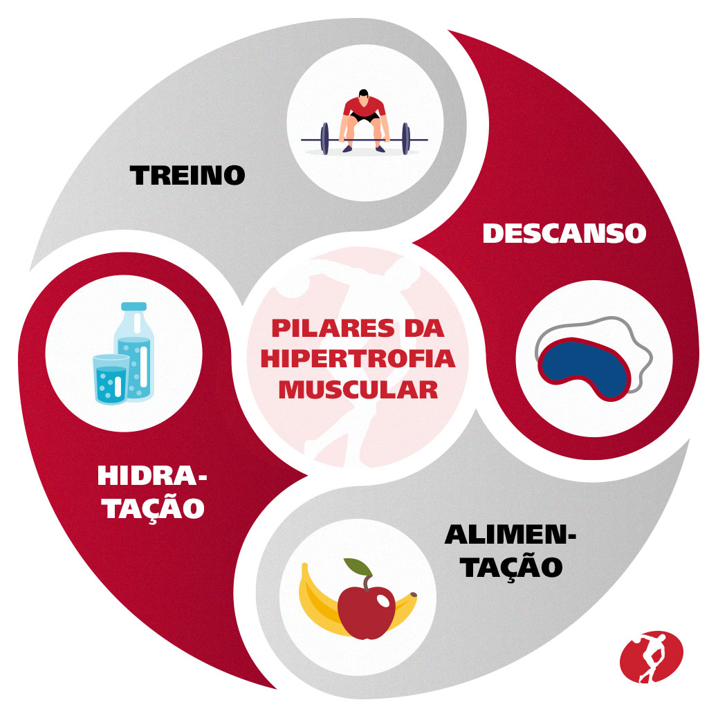 Pilares da hipertrofia muscular: 
Treino, descanso, hidratação, alimentação.