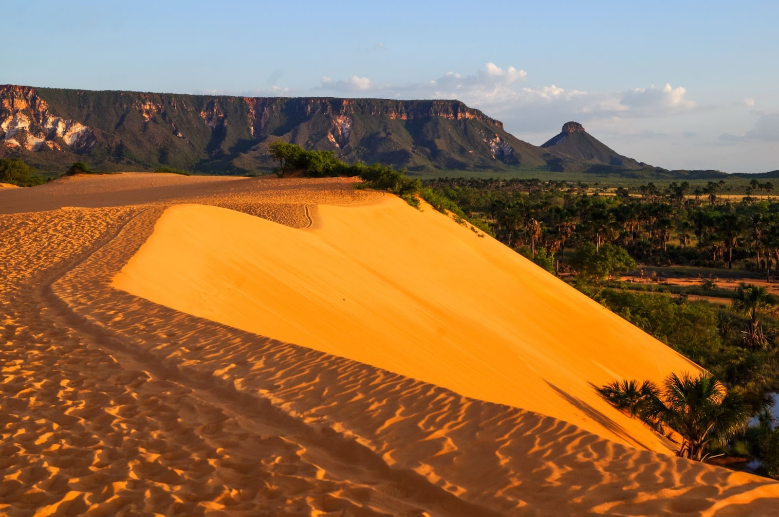 Grande duna no Jalapão, com montanhas ao fundo. A areia das dunas em tom dourado pela luz do entardecer.