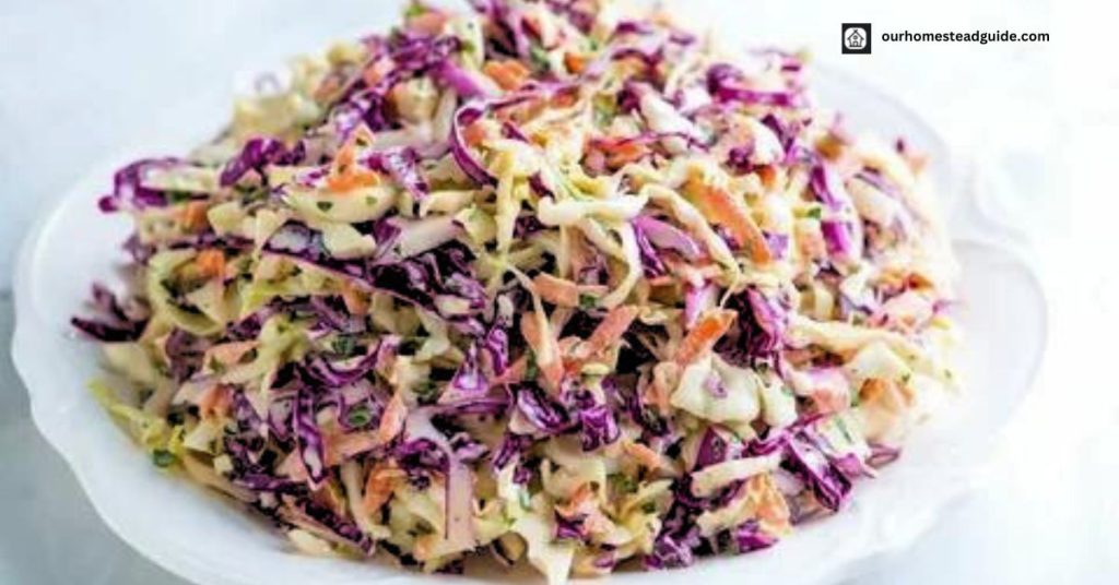 Canned Cole Slaw Recipe