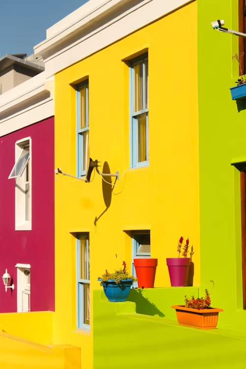 Vibrant and Bold-Coloured Walls