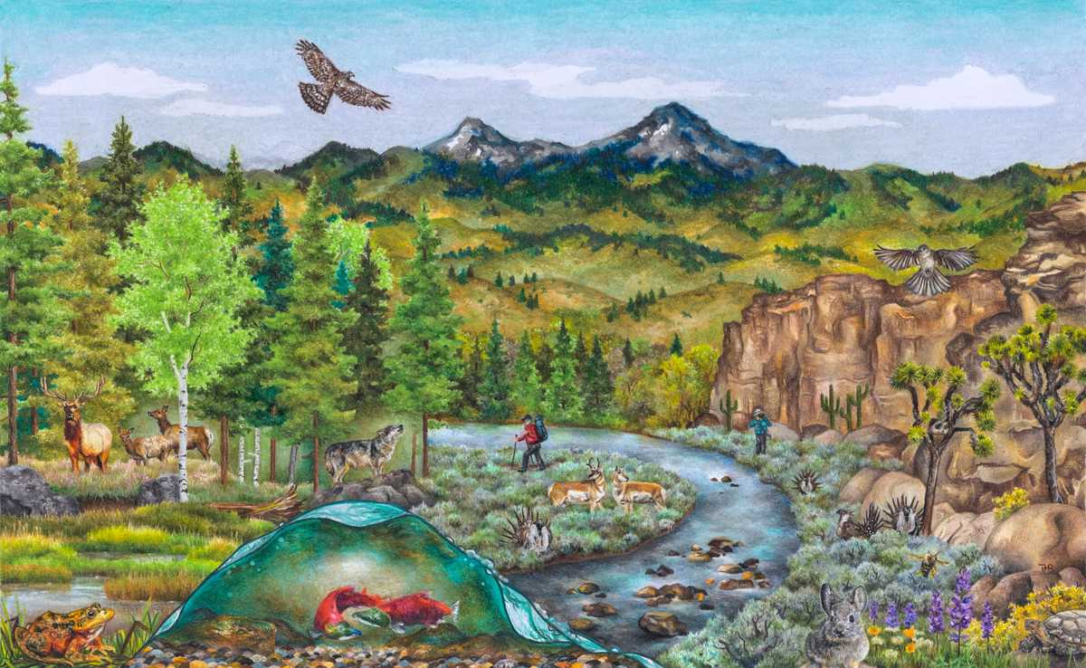 Colored pencil landscape with mountains in background, trees in middle ground left, a river in middle ground center, rock landscape in middle ground right, and various plants and animals in foreground.  Endangered animals and plants are scattered throughout the drawing with two humans in the middle ground. 