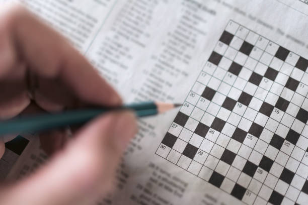 sector nyt crossword
