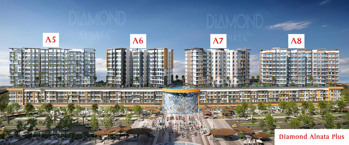 Bảng giá và lịch thanh toán căn hộ Diamond Alnata Plus