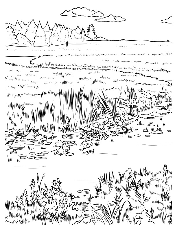 Countryside Coloring Pages35