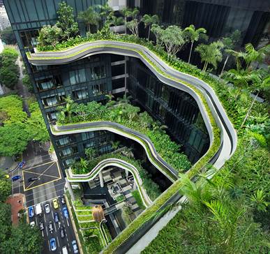Green Roofing at Singapore