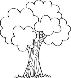tronco de arbol dibujo - Dibujos fáciles de hacer