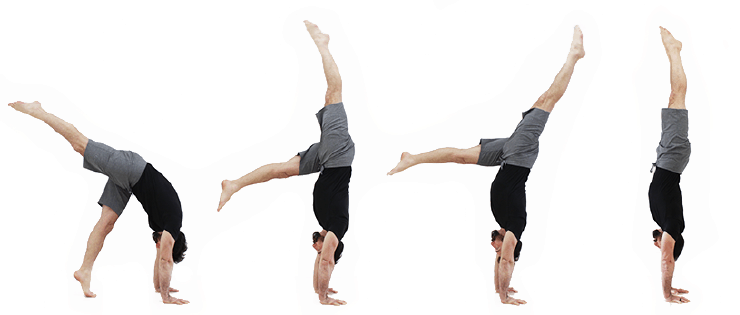 Basic Moves of Gymnastics - Handstand