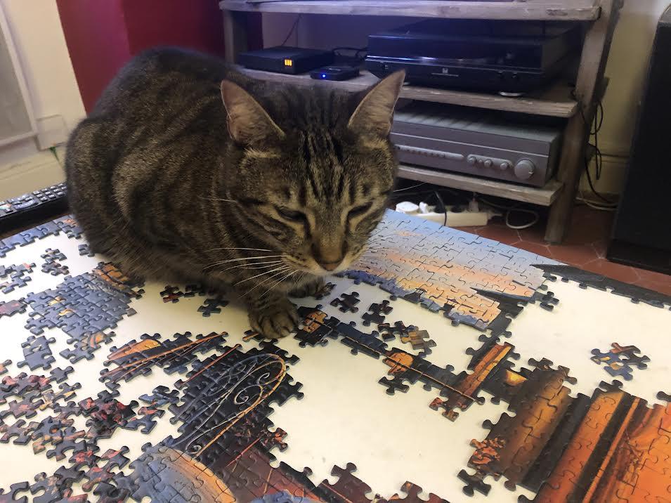 A cat sitting on a puzzle

Description automatically generated