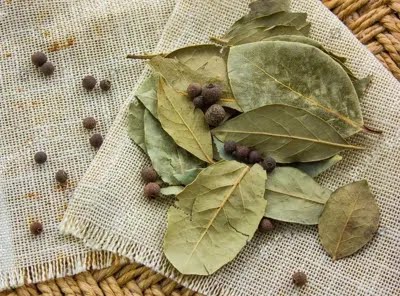 Keep a bay leaf under your pillow