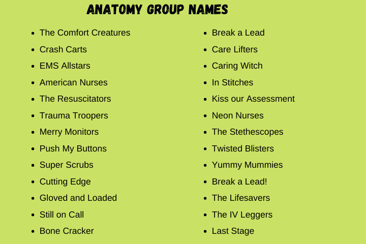 Anatomy Group Names