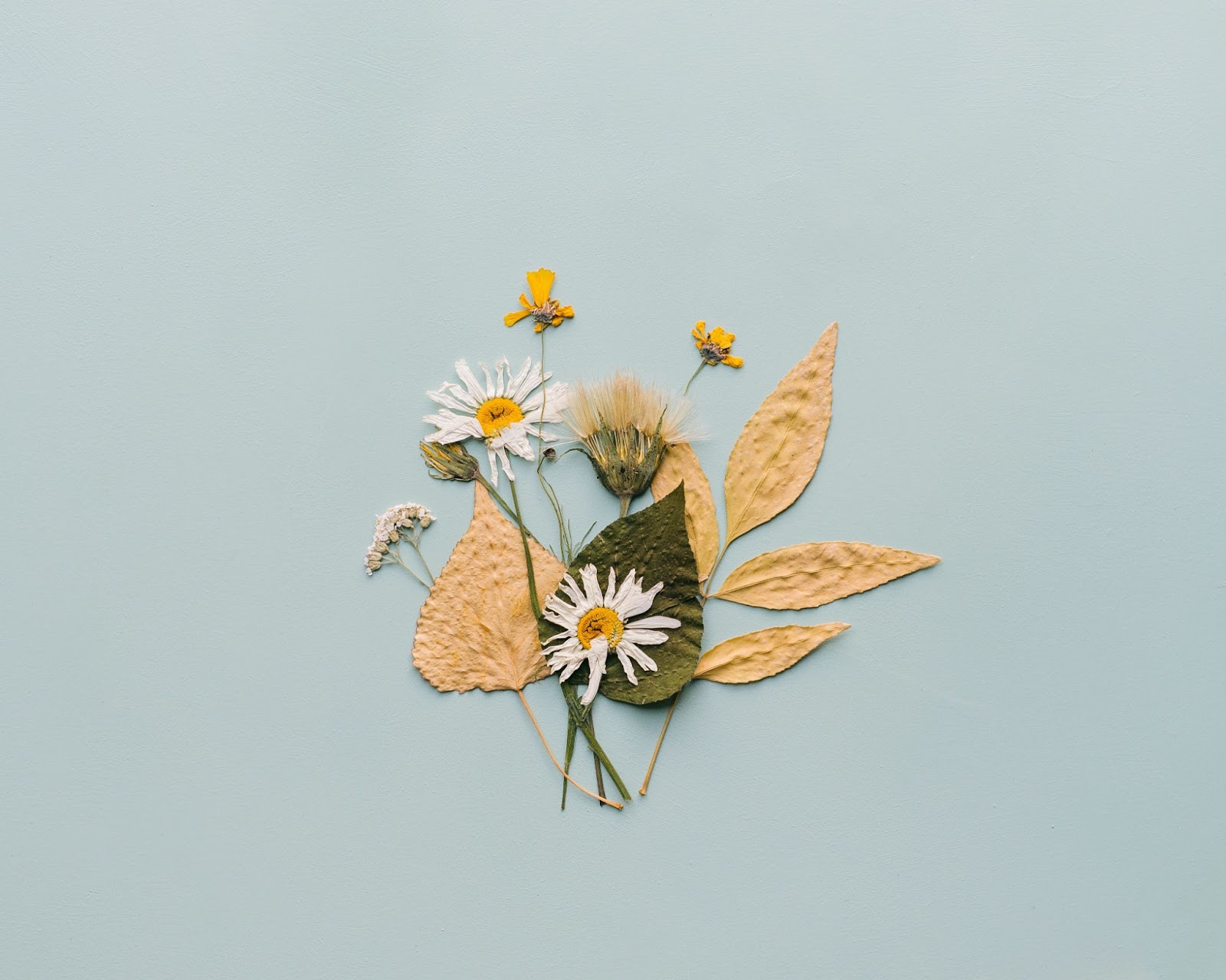 Pressed Flower arrangement