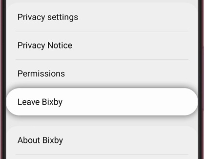 Leave Bixby highlighted in the Bixby app