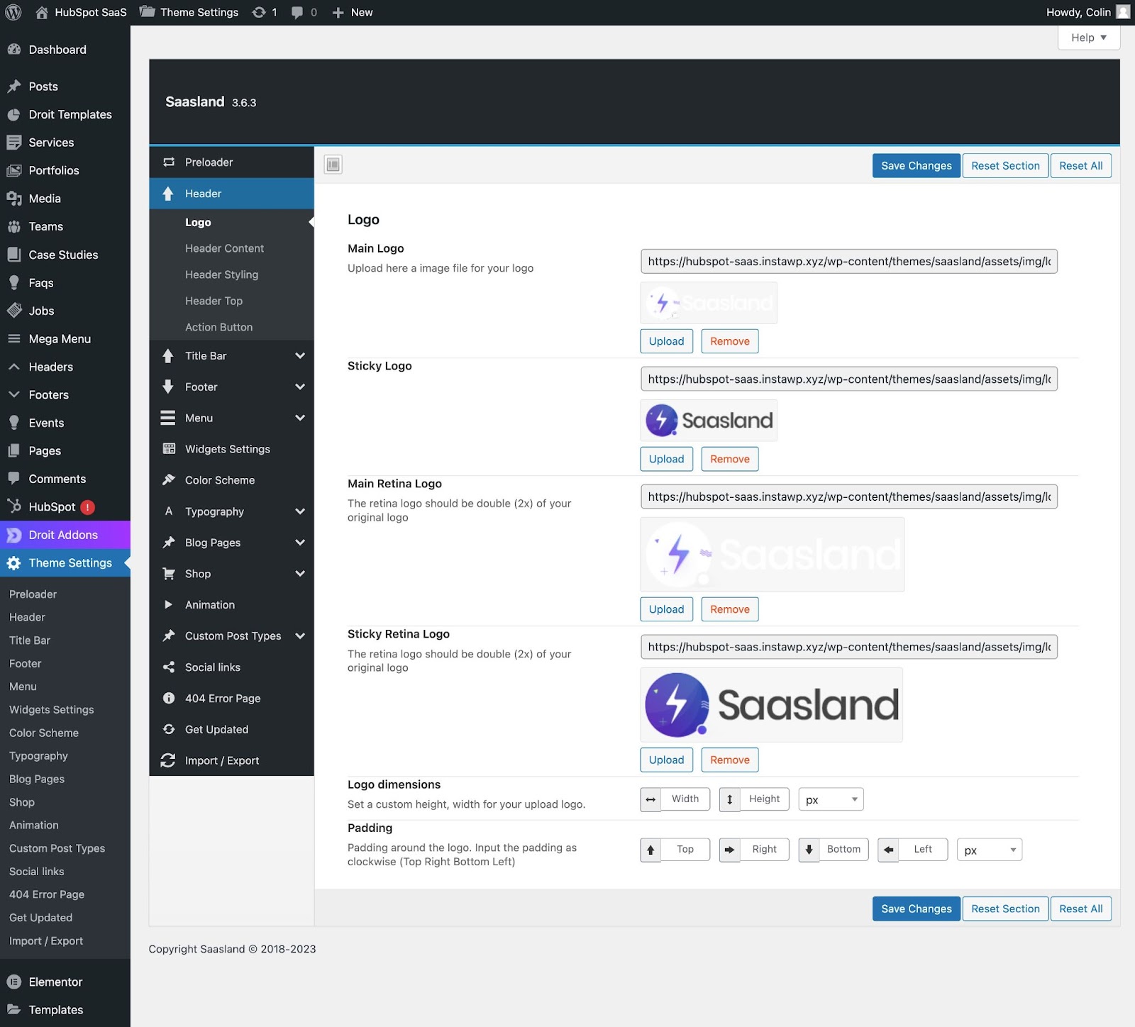 Saasland theme settings area