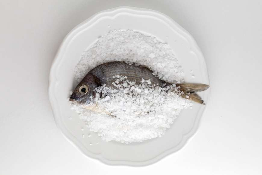 Cara Pemakaian Garam Ikan