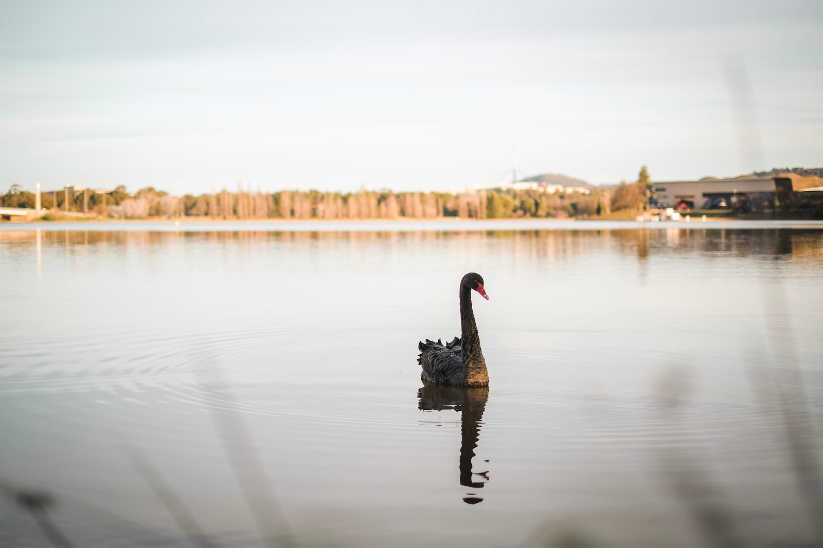 Canberra Unveiled: National Treasures and Hidden Charms in Australia’s 