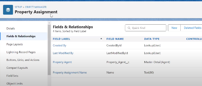 Step 6: Configure a Property Agent Custom Field on the Property Assignment Object  