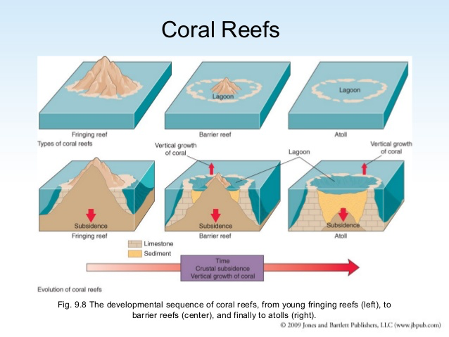 iGCSE Geography revision notes:Coasts