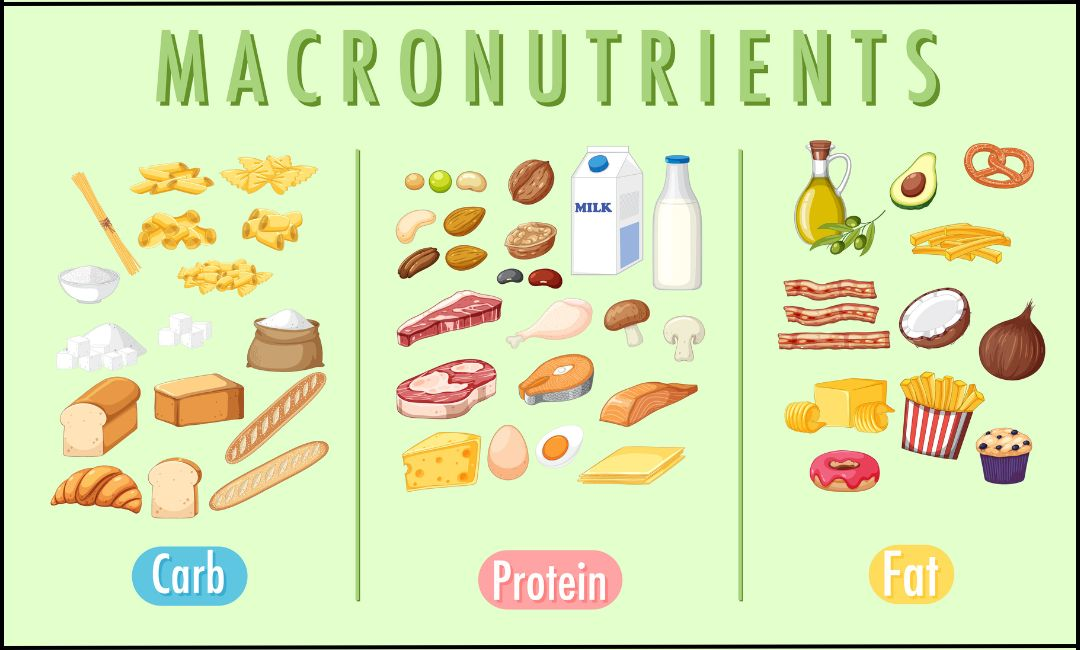  BALANCING NUTRIENT INTAKE: INSIGHTS FROM KIDS’ WEIGHT LOSS CALCULATORS