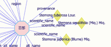 Fig. 2 Bai Bu Primary Name and Scientfic Name nodes