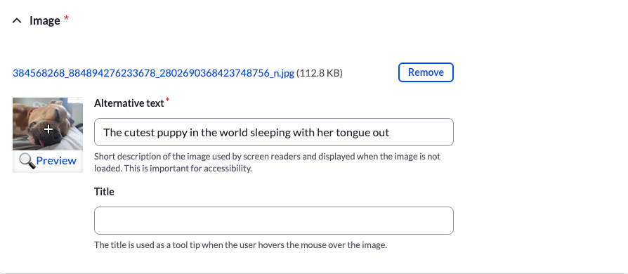 The backend of a website showing how and where to enter alternative text for a photo of a sleeping puppy.