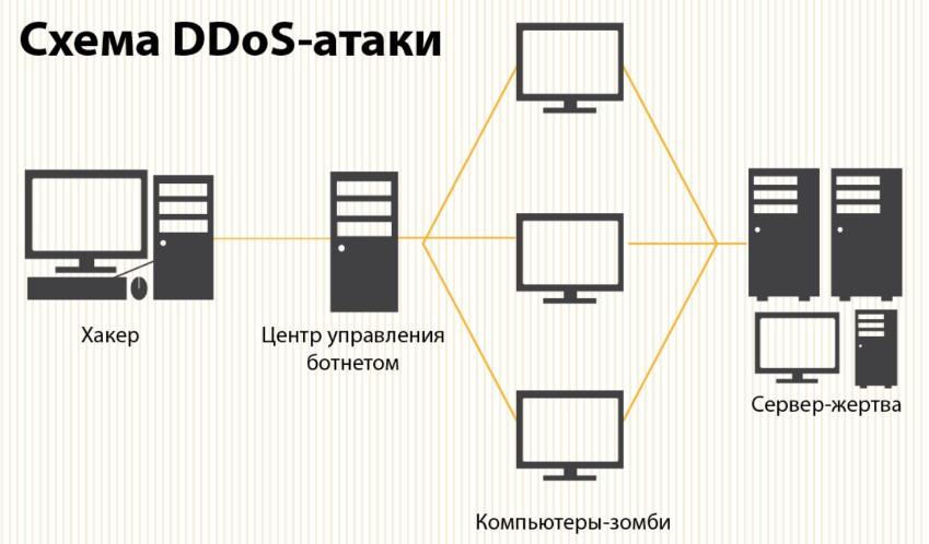 DDoS: описание и особенности