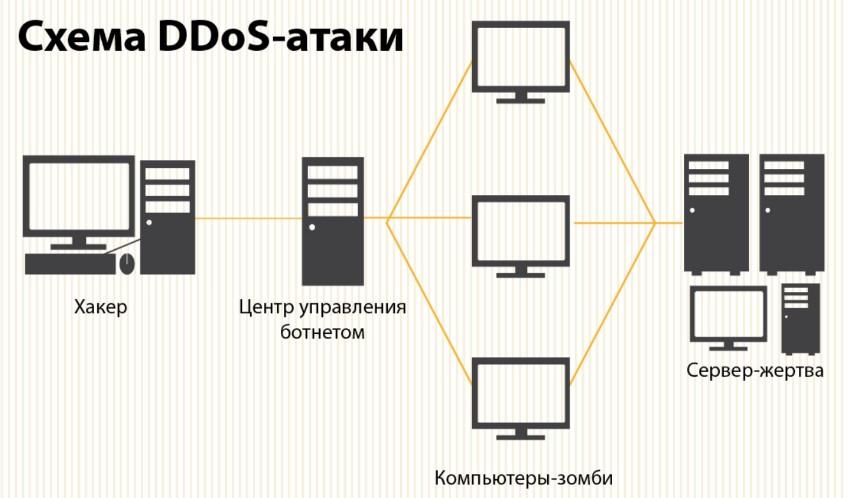 DDoS         Selectel