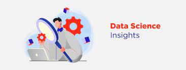 What are Data Insights? Definition, Differences, Examples