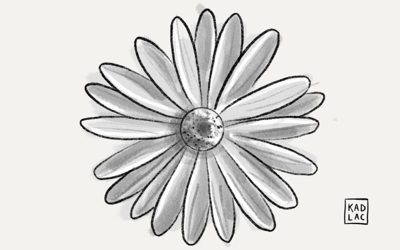 An illustration of a flower